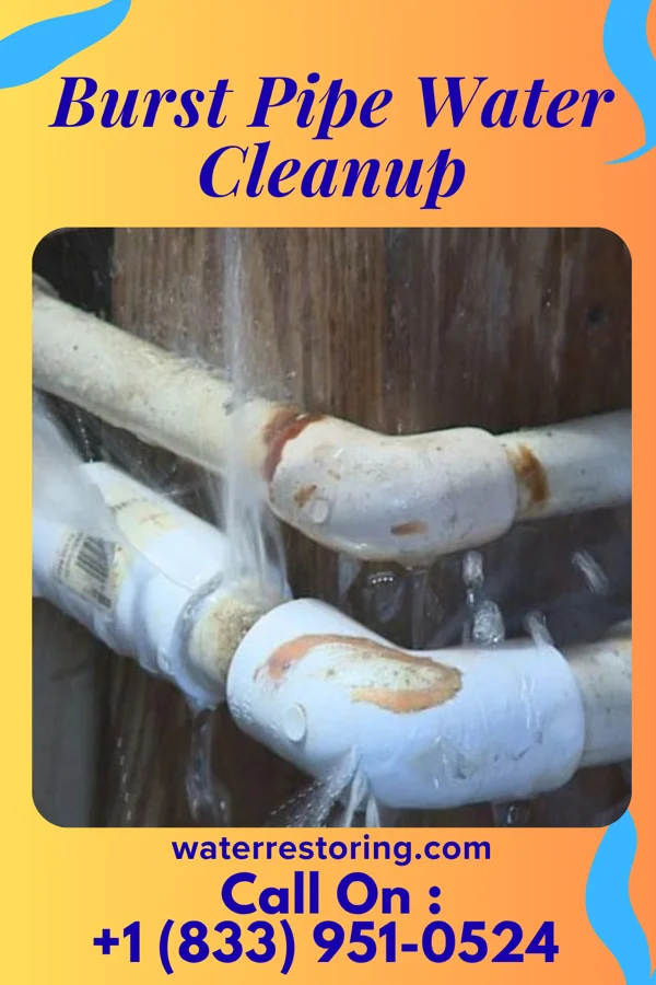Burst Pipe Water Cleanup in Tarsney Lakes, MO