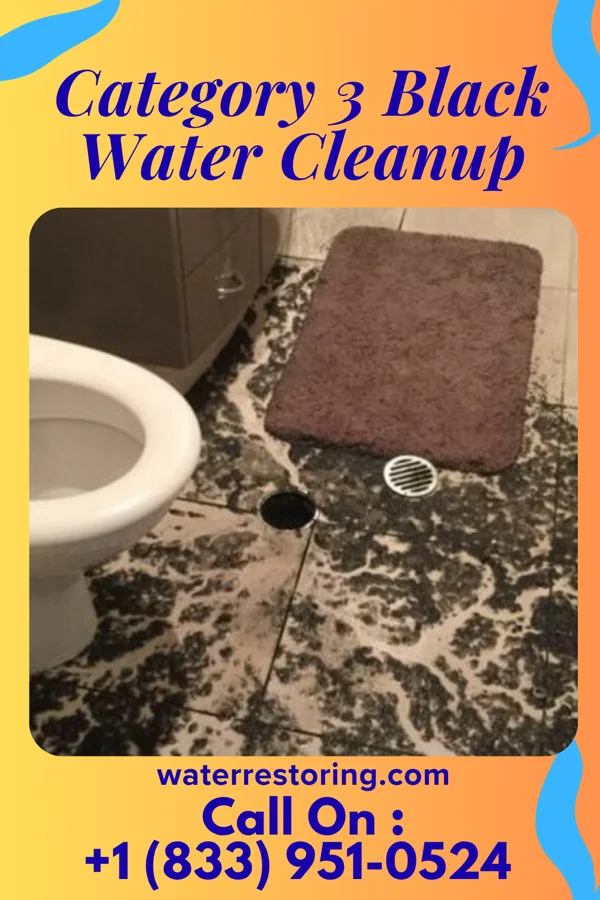 Category 3 Black Water Cleanup in Tarsney Lakes, MO