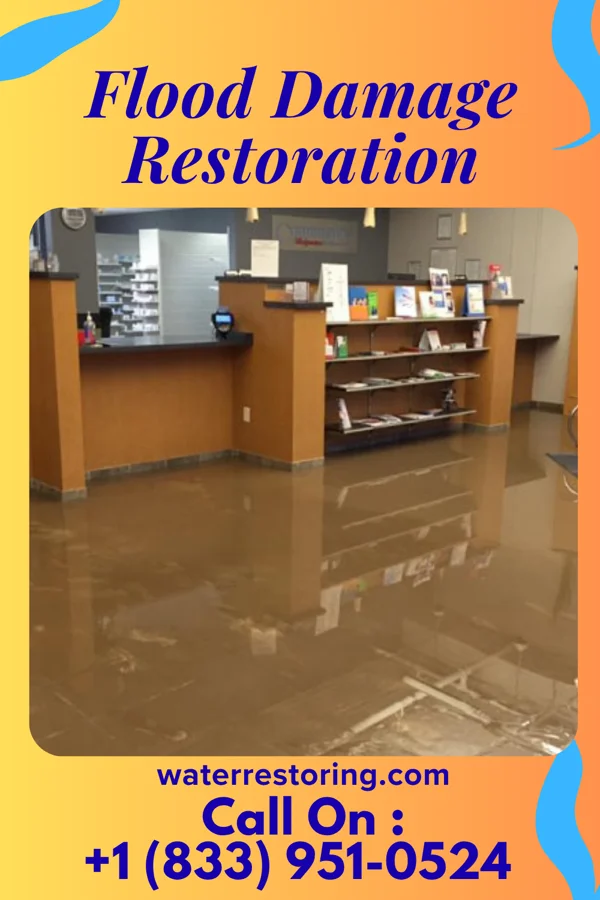 Flood Damage Restoration in Tarsney Lakes, MO