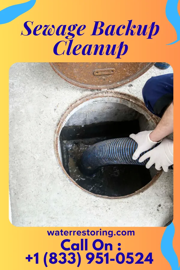 Sewage Backup Cleanup in Tarsney Lakes, MO
