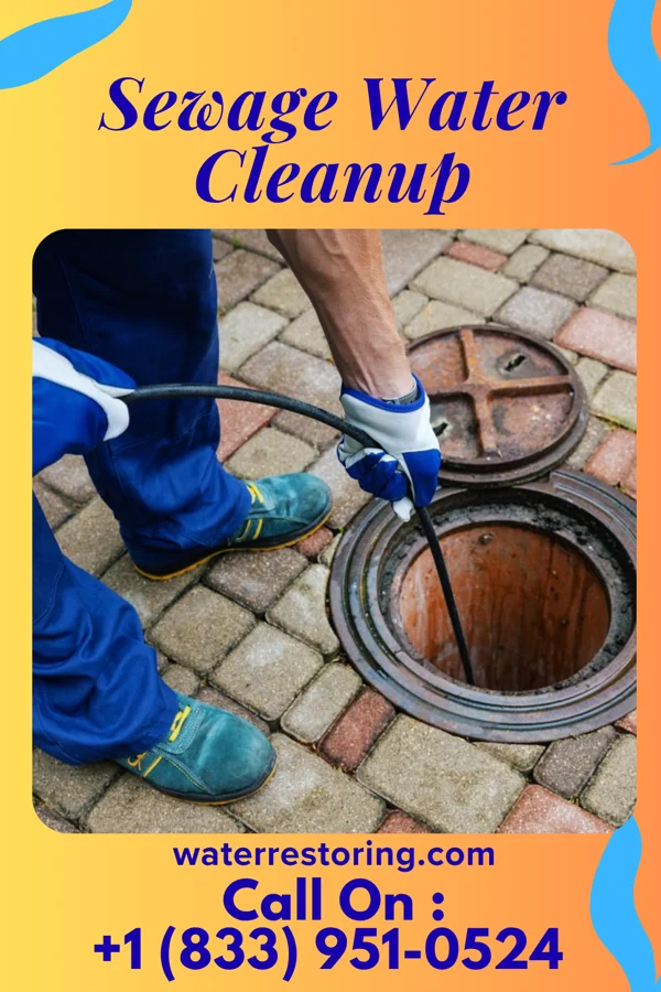 Sewage Water Cleanup in Tarsney Lakes, MO