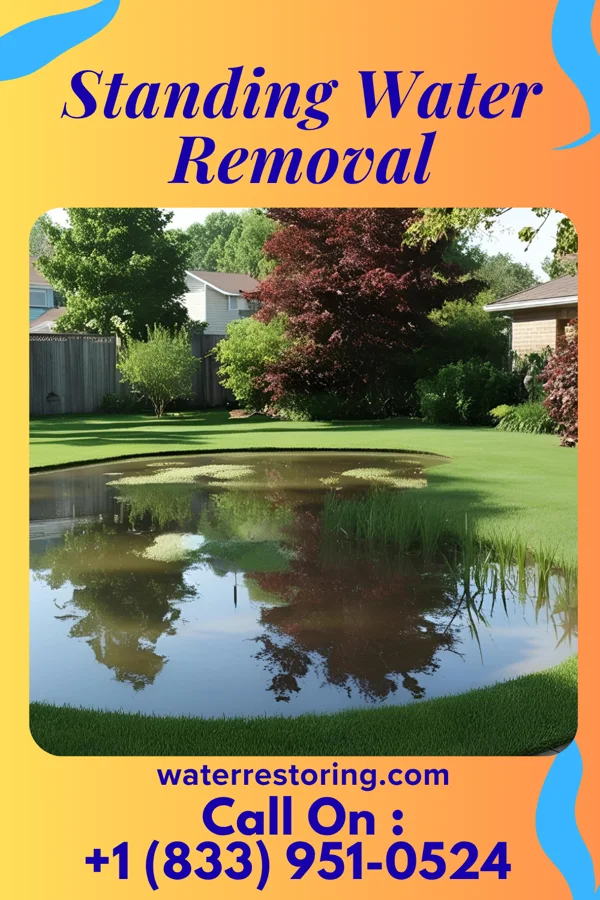 Standing Water Removal in Tarsney Lakes, MO